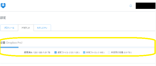 Dropbox Pro