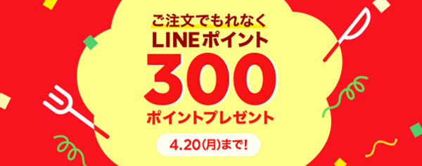 600円以上のご注文でもれなく300ポイントプレゼント