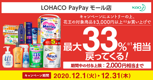 花王商品購入でプラス15％PayPayボーナスライト還元キャンペーン - Yahoo!ショッピング