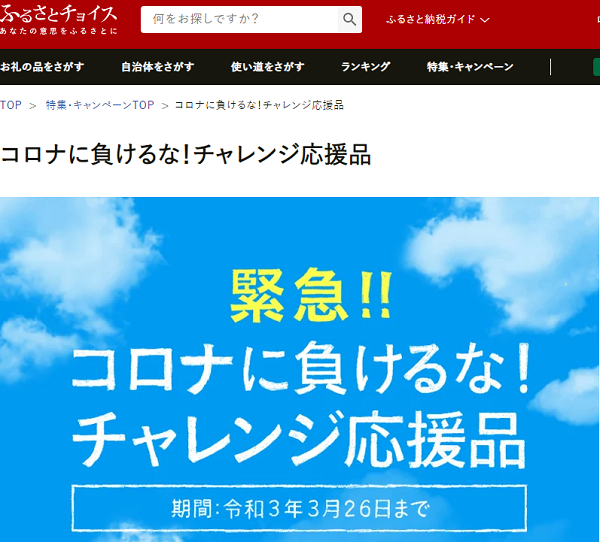 コロナに負けるな！チャレンジ応援品 | ふるさと納税 [ふるさとチョイス]