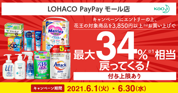 花王商品購入でプラス15％PayPayボーナス付与キャンペーン - Yahoo!ショッピング