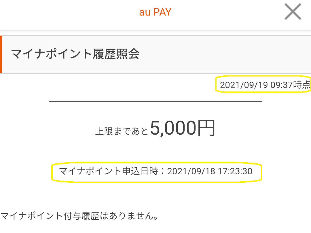 au PAY