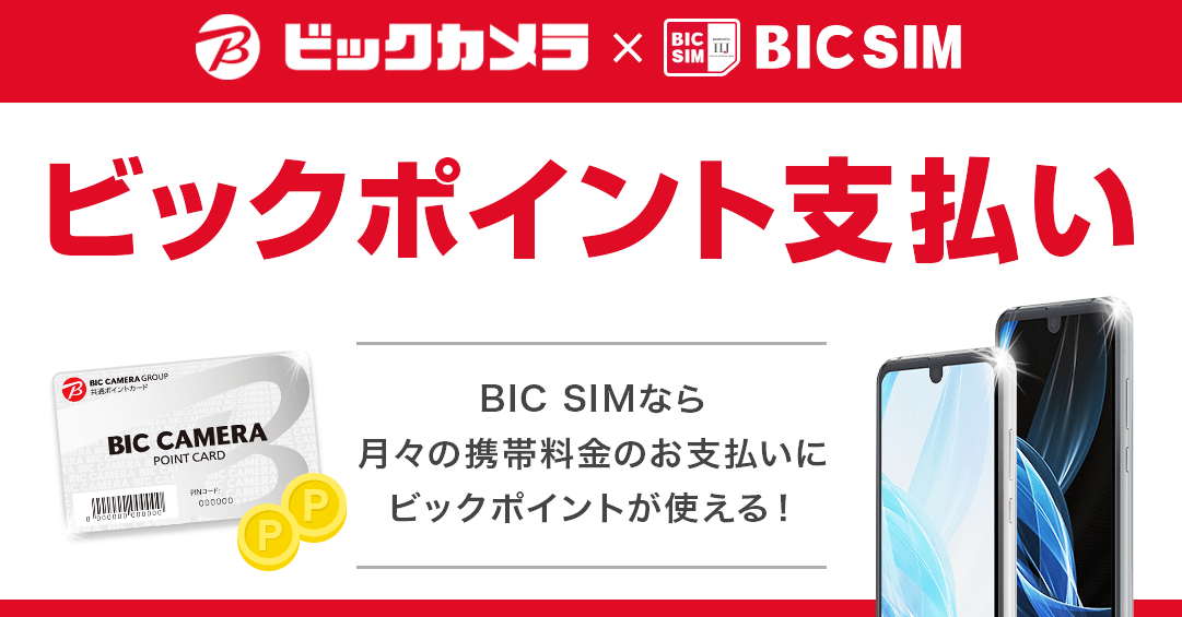 ビックポイント利用サービス｜ビックカメラの格安SIM・BIC SIM（ビックシム）