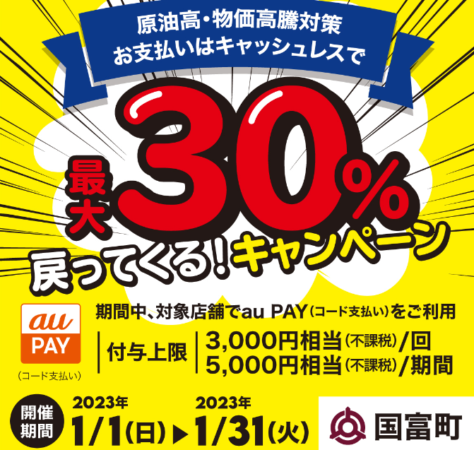 宮崎県国富町×au PAYキャンペーン｜au PAY
