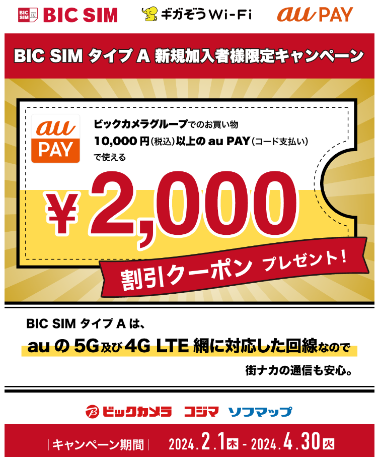 BIC SIMタイプA 新規加入者様限定キャンペーン