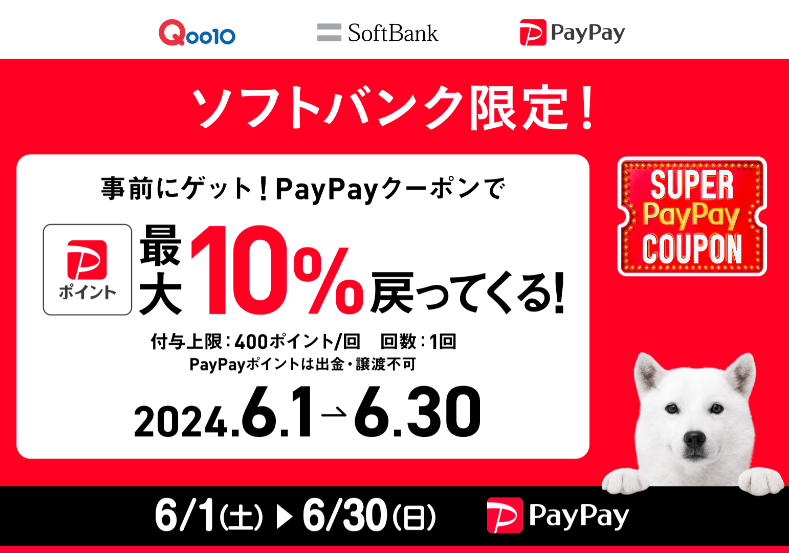 Qoo10×PayPay