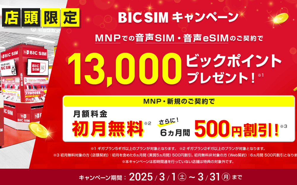 【店頭申し込み限定】BIC SIMキャンペーン｜ビックカメラの格安SIM・BIC SIM（ビックシム）