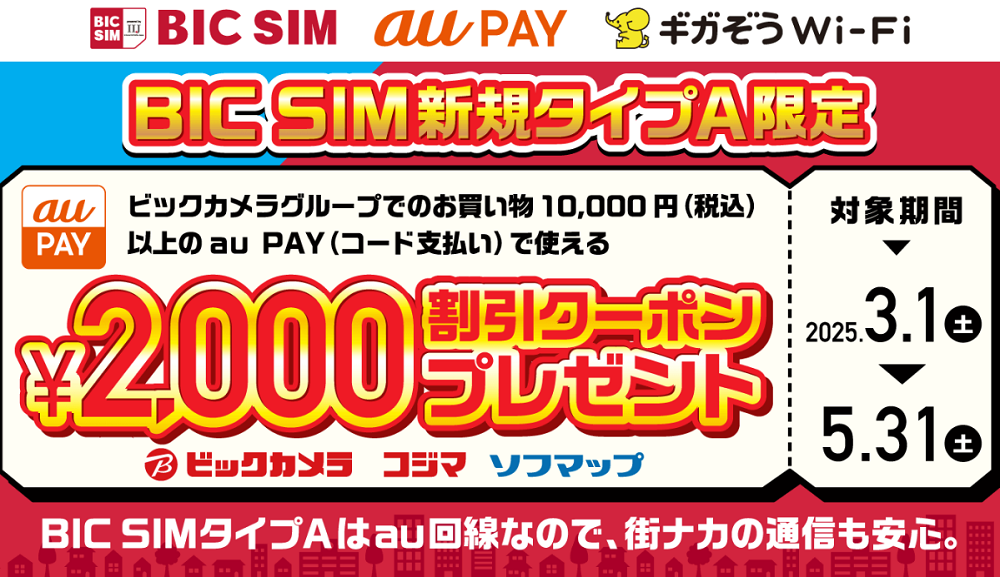 BIC SIMタイプA 新規加入者様限定キャンペーン