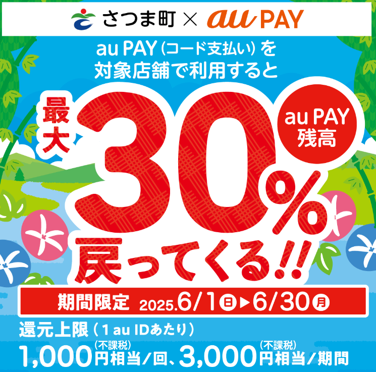 スマホでピっと応援！キャッシュレス決済キャンペーン｜au PAY