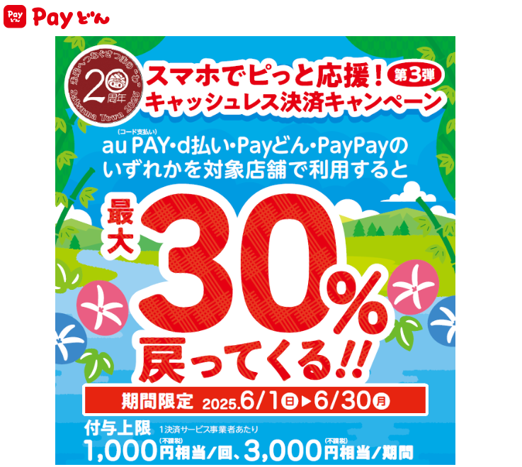 さつま町キャッシュレス決済キャンペーン | Payどん