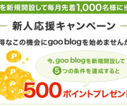 blog