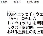 blog