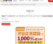 blog