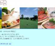blog