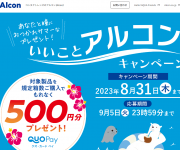 blog