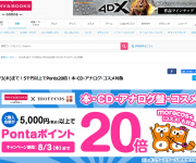 blog