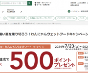 blog