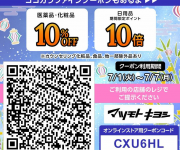 blog